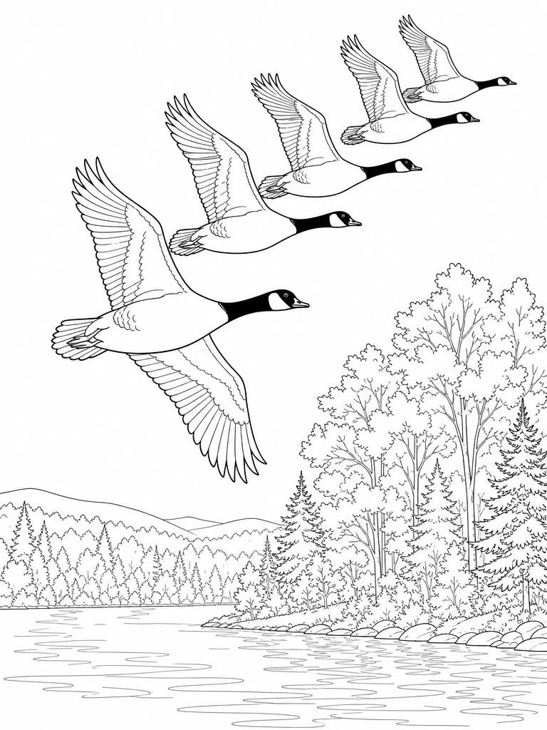 Migrating Geese coloring page — Canada geese flying south over a lake